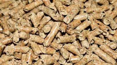 pellets-4844847_640