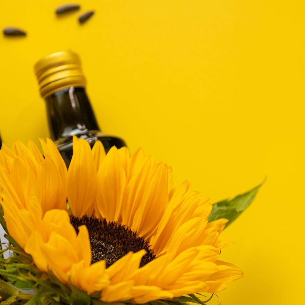 Frytura słonecznikowa: Nowe spojrzenie na zdrowe przekąski